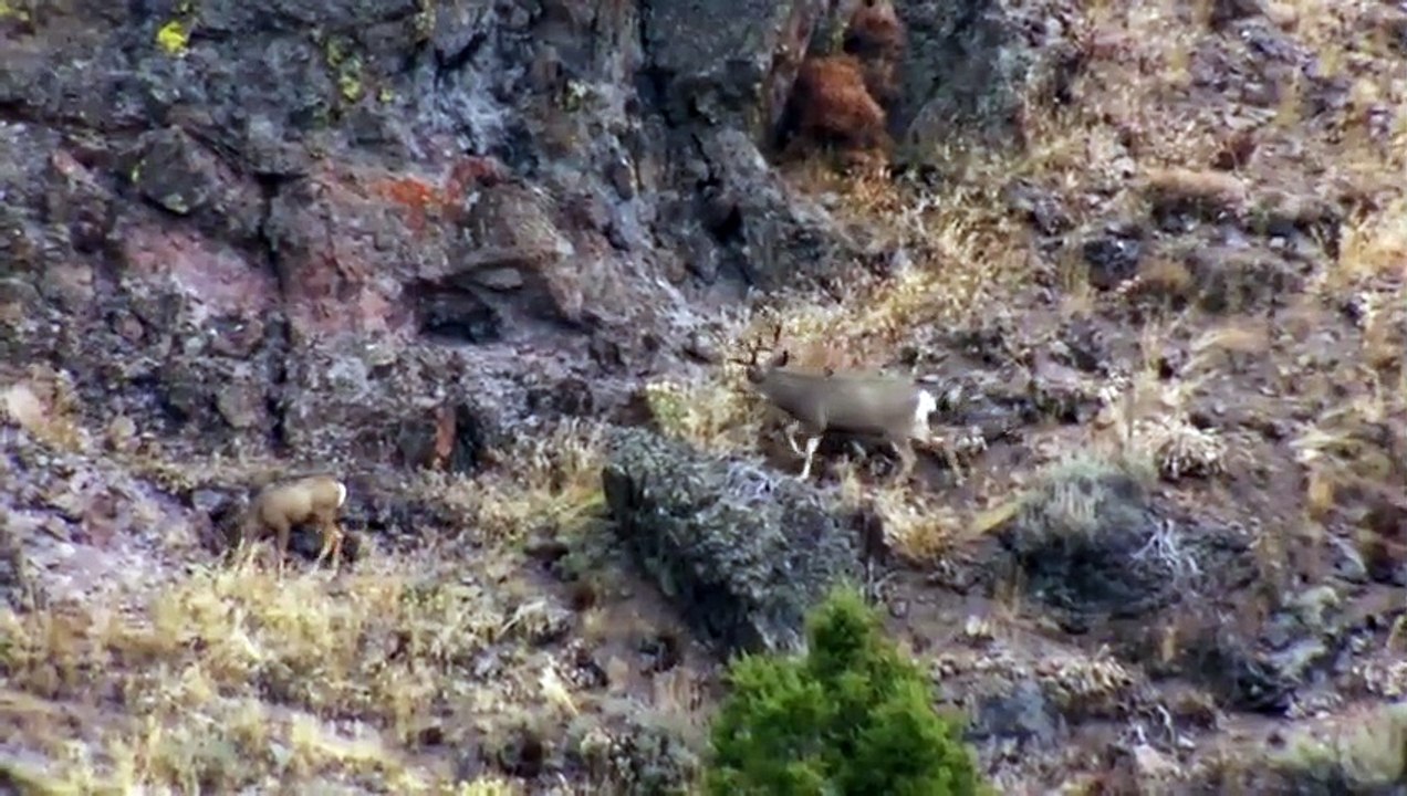 MeatEater - Se6 - Ep05 HD Watch