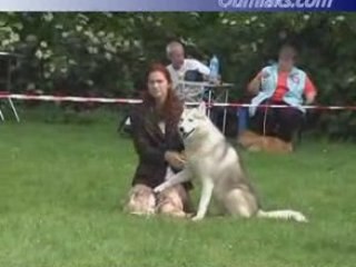 Oumiak's Arctic Qiwi --- German Specialty 2007