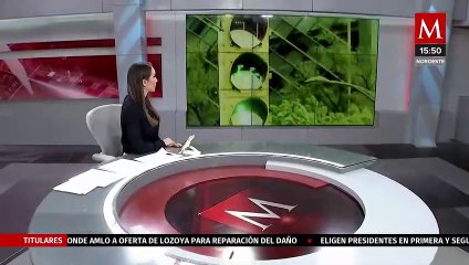 Verificentro IZ31 en Iztapalapa permanece cerrado hasta el próximo 9 de enero de 2023