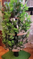 Funny cat videos | cute cats | Try not to laugh | Cat videos 2023