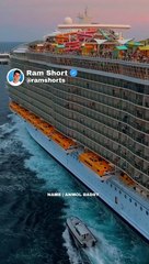Cruise | Ram Shorts   #ramshorts #shorts