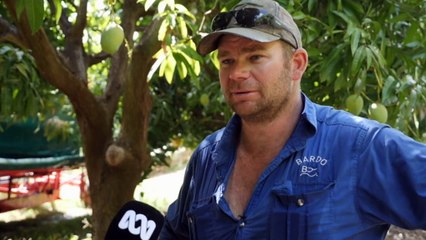 Orchardists call for workers amid record low unemployment