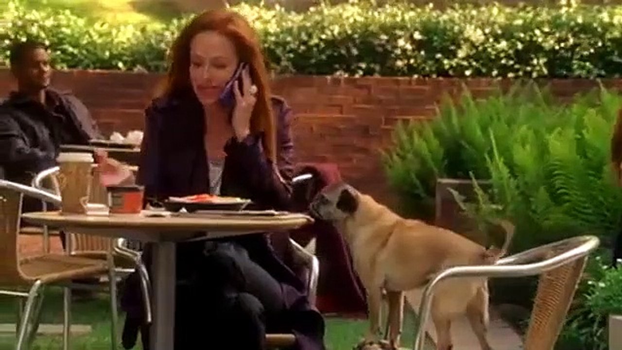 Hung - se1 - ep08 hd watch