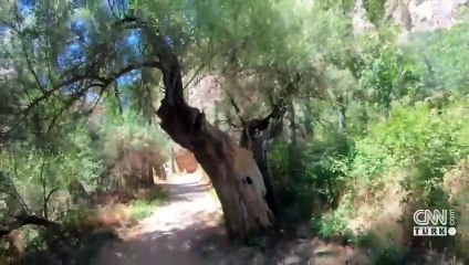 Reklamda "çevre dostu" diyen ispat edecek