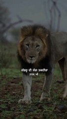 SIDHU MOOSE WALA leaked song new viral video