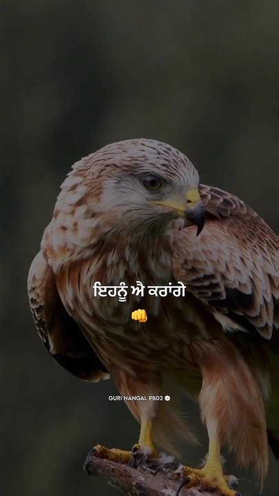 Motivational quotes