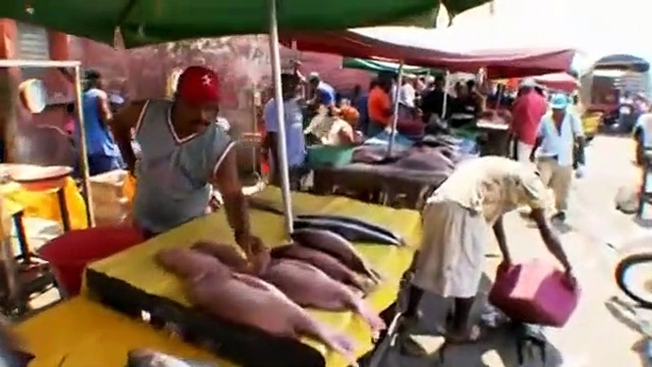 Anthony Bourdain - No Reservations - Se4 - Ep12 HD Watch