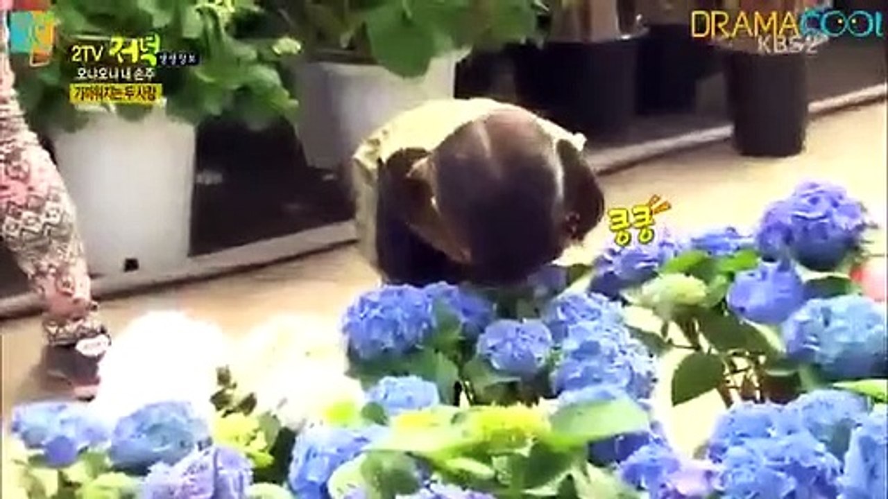 Live Info Show 2 - Ep46 HD Watch