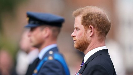 « Il me jette au sol » : le prince Harry raconte une violente altercation avec le prince William au sujet de Meghan Markle