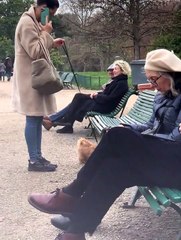 Dog Jumps on Random Person