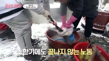 [예고] 견디기 힘든 통증! 걷는 것도 고통인 아내의 일상 ✿계묘년 첫 꽃길 프로젝트✿