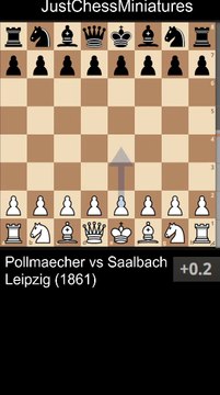 White sacs the Queen and delivers a picturesque mate with two Knights. Chess