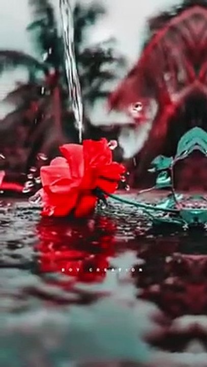 feeling_this_song--instagram_reels_videos--__whatsapp_love_status❤__love_status_lofi__Full_Screen__sad(240P)[1]
