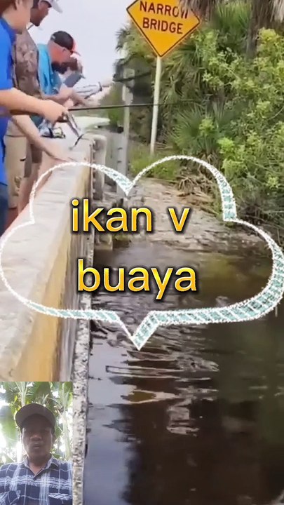 Buaya v ikan