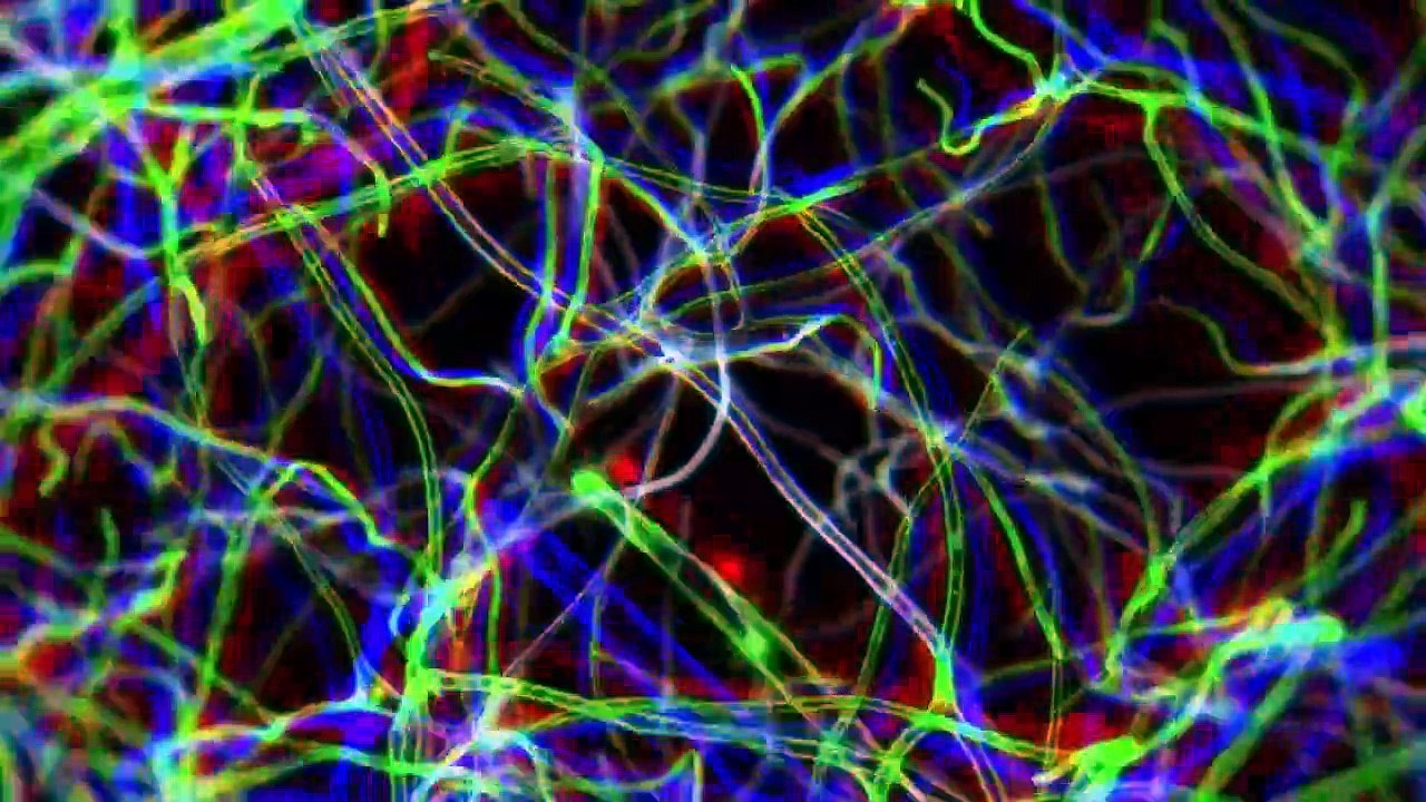 Juushinki Pandora - Ep23 HD Watch