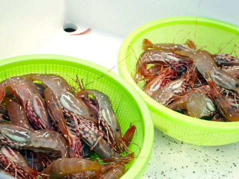 10से15 अलग अलग तरह के मछलियां देख के दिल खुश हो जायेगा इक बार वीडियो जरूर देखे