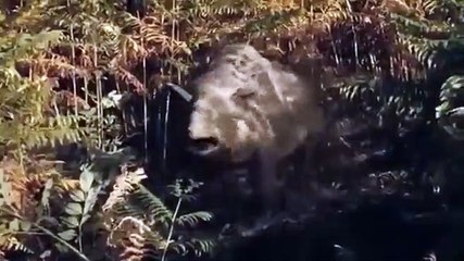 Primeval - Se3 - Ep09 HD Watch