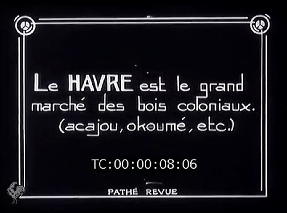 1930 sur les quais du havre , le marché des bois coloniaux