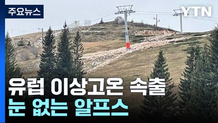 겨울이 이상해... 해수욕 스페인, 눈 없는 알프스 / YTN