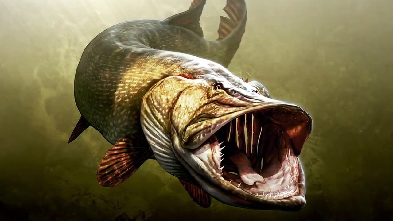 Jeremy Wade's Dark Waters - Se1 - Ep06 - Ice Age Predator HD Watch