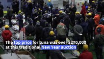 Japan: Tuna sells for over $270,000 at New Year auction