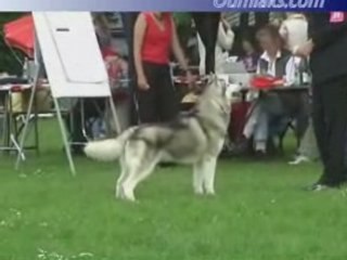 Oumiak's Pump up the Volume  German specialty 2007