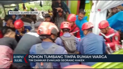 Pohon Tumbang Timpa Rumah Warga, Tim Damkar Evakuasi Seorang Kakek