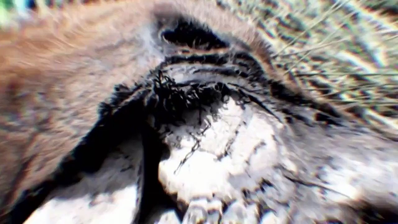 Alien Highway - Se1 - Ep03 - Escape From Area 51 HD Watch