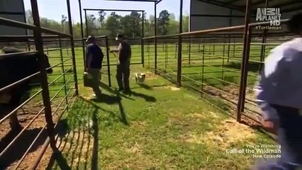 Call of the Wildman - Se3 - Ep17 HD Watch