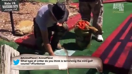 Call of the Wildman - Se3 - Ep19 HD Watch