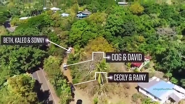 Dog's Most Wanted - Se1 - Ep01 - Like Father, Like Son HD Watch