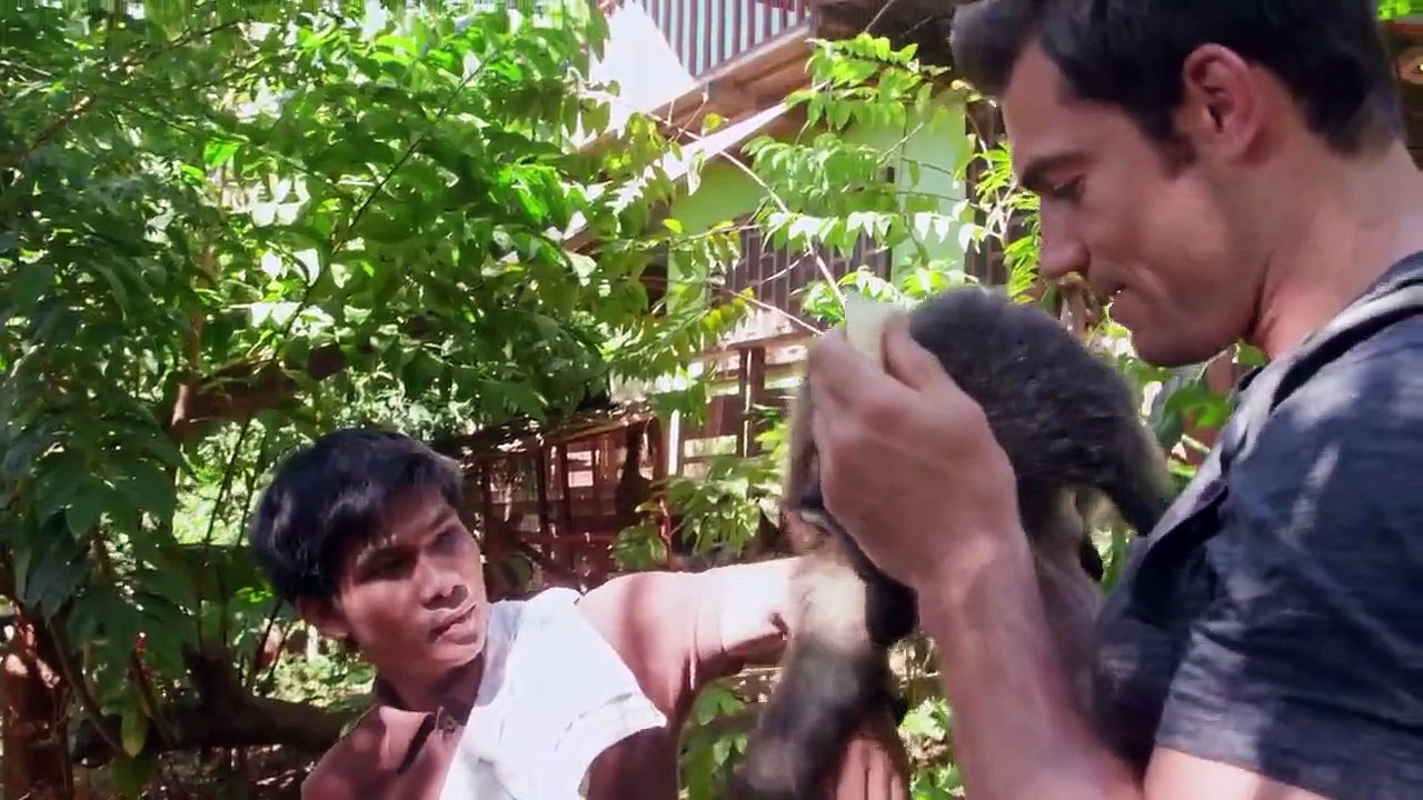Evan Goes Wild - Se1 - Ep02 - Baby Bearcat Rescue HD Watch