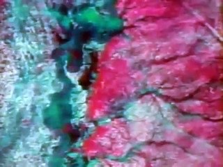 Bill Nye, the Science Guy - Se4 - Ep01 HD Watch