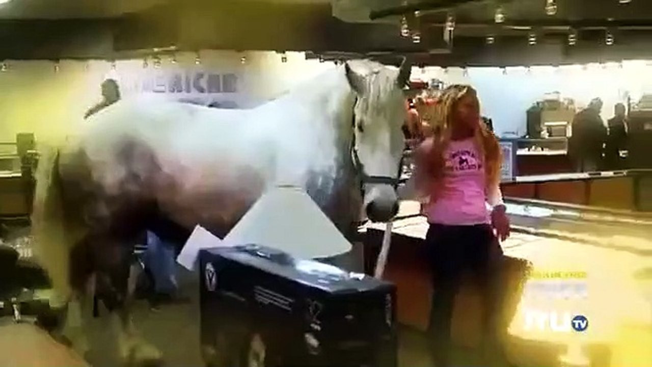 Hardcore Pawn - Se5 - Ep06 HD Watch