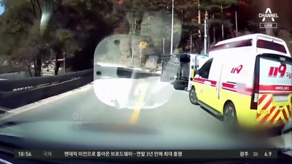 도로에 쏟아진 돼지…경찰, 어떡하면 되지?