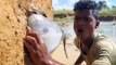 Unbelievable Technique Traditional Sea Fish Fishing In River Dry Hill Big Stuck Fish Catching By Hand #fish