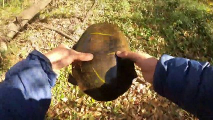 Pescando Tortugas en Hermosa Laguna y Cocinando Chupin de Bagre Improvisado