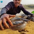 Amazing River Dry Place Fish Come Out Automatically Form Underground Hole & Boy Catching By Hand #fish #video #fishing