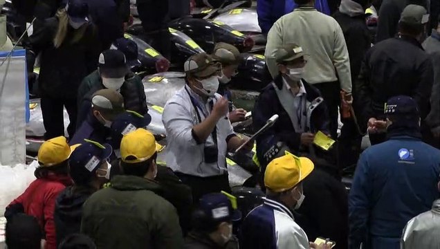 Atum é leiloado por mais de R$ 1 milhão em tradicional evento japonês