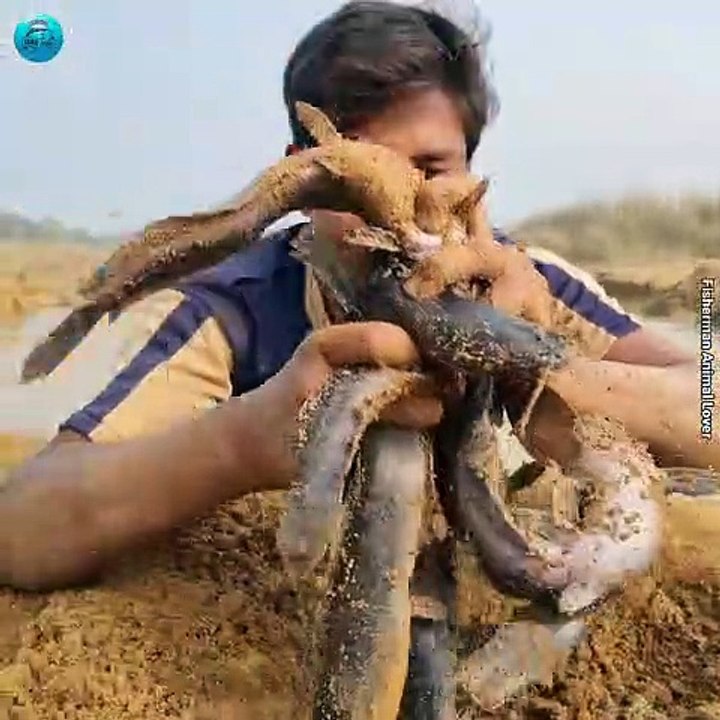 Amazing Hand Fishing Video Excellent Searching And Catching Dry Please River Underground Monster Fish #fishing #fish #video
