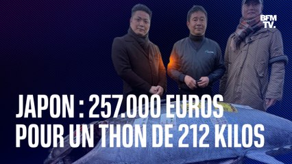 Un thon de 212 kg vendu aux enchères pour 257.000 euros à Tokyo