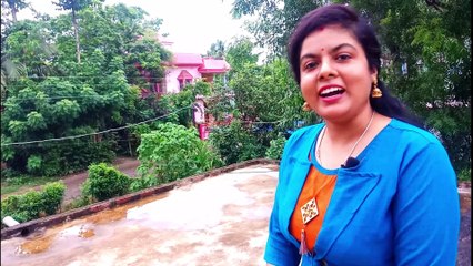 How To Use Particle Js As Background In Website @Tonudipa Coding