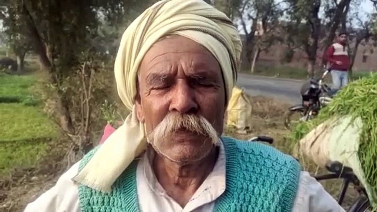 नाग नागिन के जोड़े पर नेवले ने किया हमला
