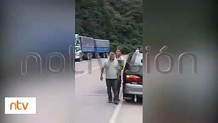 "Nuestra naturaleza": Osos jucumaris fueron vistos en la carretera a Santa Cruz