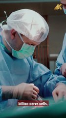 Unlocking the Mysteries of the Human Brain 🧠