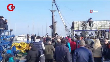 İzmir’de ağlara 2 ton ağırlığında 10 metrelik köpekbalığı takıldı