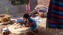 GSD Simbha with cute Ayush || My Pet Dog GSD Simbha||