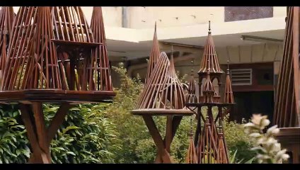 Compagnons - 6 janvier