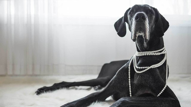 Diese Halsketten werden 2023 immer unbeliebter - und diese Modelle sind jetzt Trend