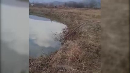 Sinop'taki Sel Felaketinde Mağdur Olan Çiftçi: "Devlet Su İşleri'ne 4 Defa Dilekçe Yazdım. Bizim Zararımızı Karşılamadılar"